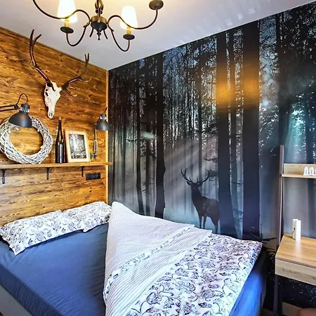 Lipova 피에초비체